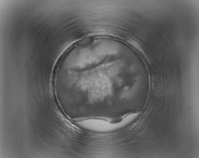 X0000062621068200601040959