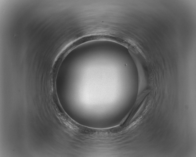 X0000062621069200601040959