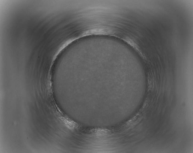 X0000062621070200601040959