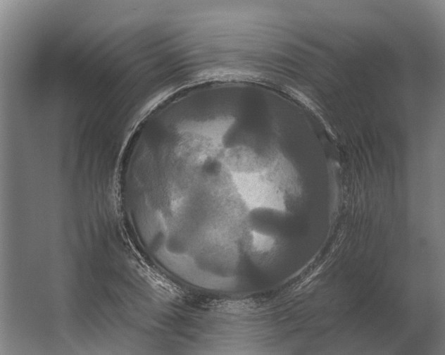 X0000062621074200601040959