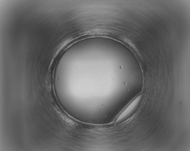 X0000062621075200601040959