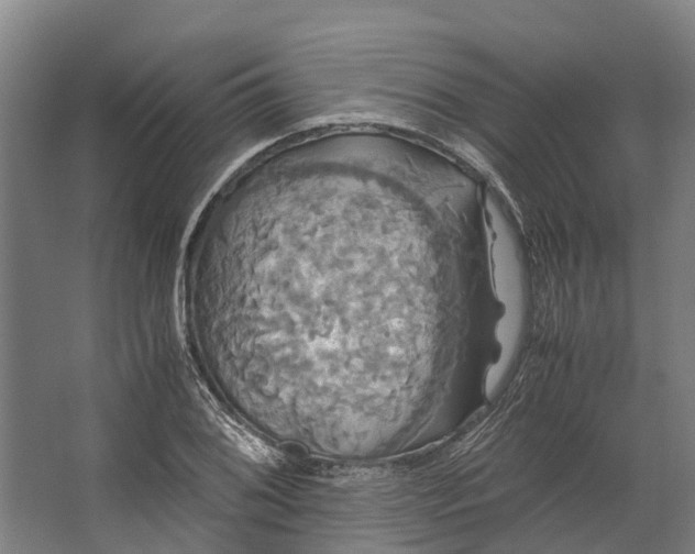 X0000062621076200601040959