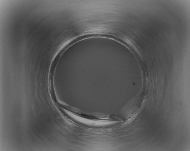 X0000062621077200601040959