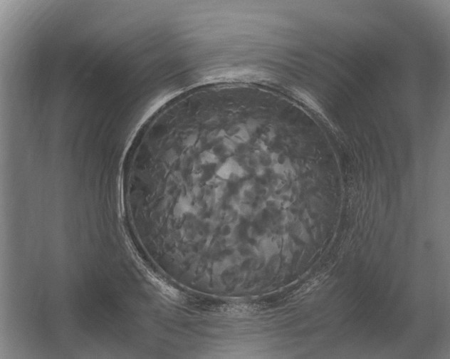 X0000062621079200601040959