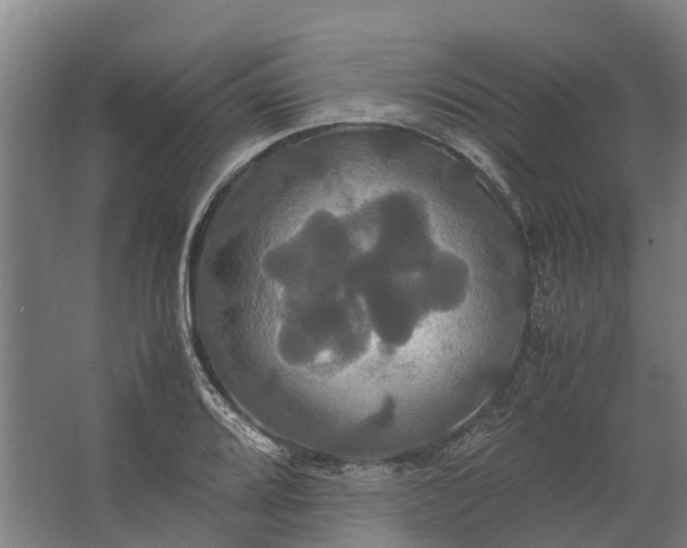 X0000062621080200601040959