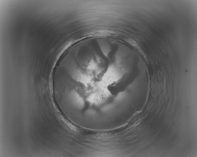 X0000062621083200601040959