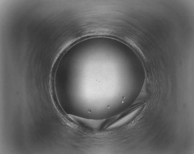 X0000062621085200601040959