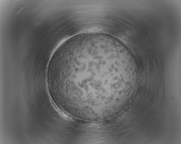 X0000062621086200601040959