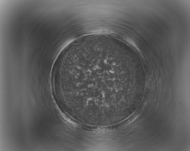 X0000062621087200601040959