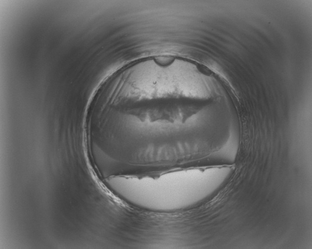 X0000062621088200601040959