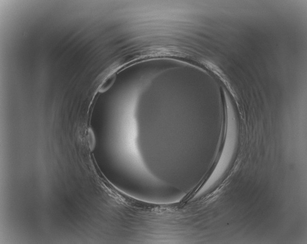 X0000062621089200601040959