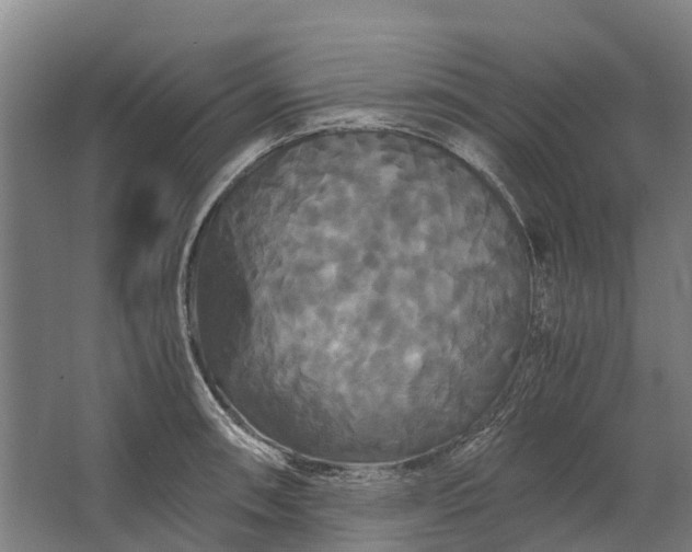 X0000062621090200601040959