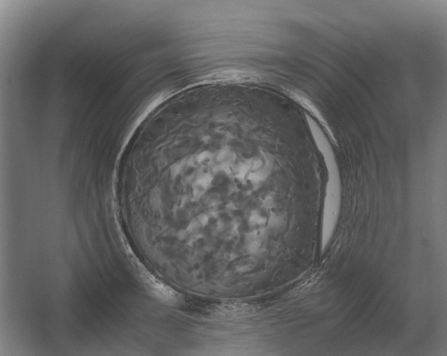 X0000062621091200601040959