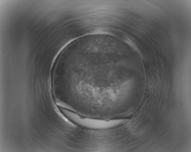 X0000062621092200601040959