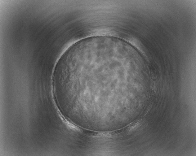 X0000062621094200601040959