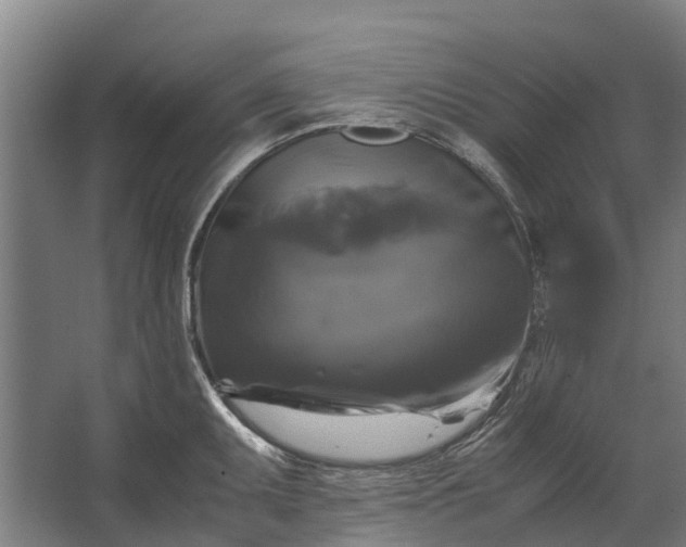 X0000062621095200601040959