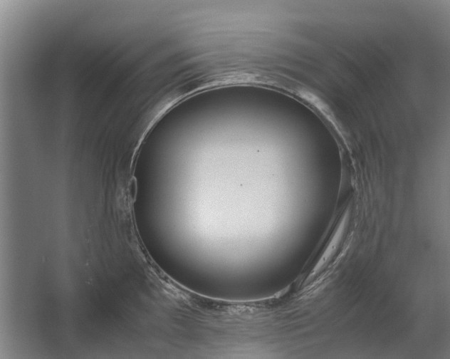 X0000062621097200601040959