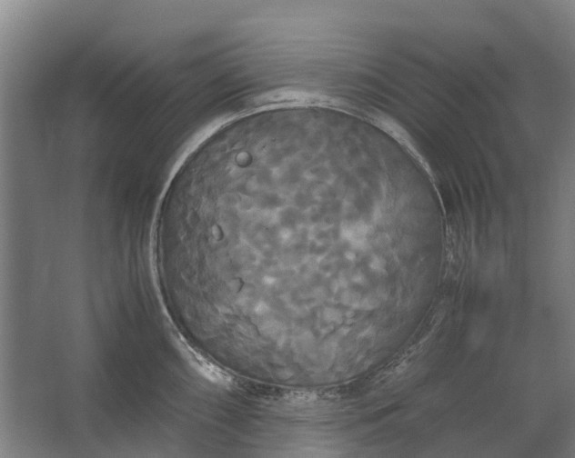 X0000062621098200601040959