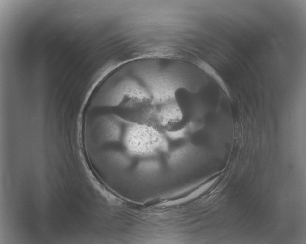 X0000062621099200601040959