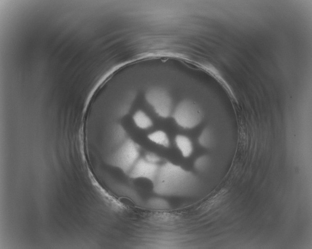 X0000062621100200601040959