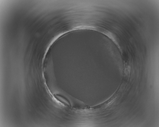 X0000062621102200601040959