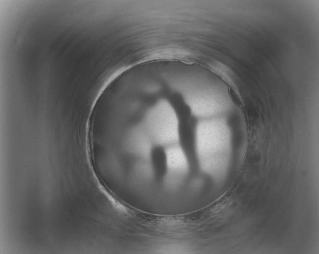 X0000062621103200601040959