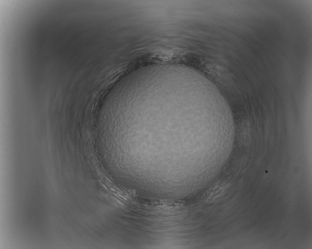 X0000062621105200601040958