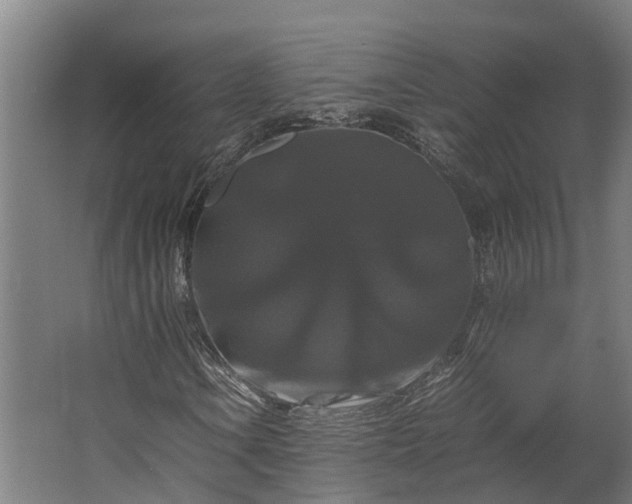 X0000062621106200601040958