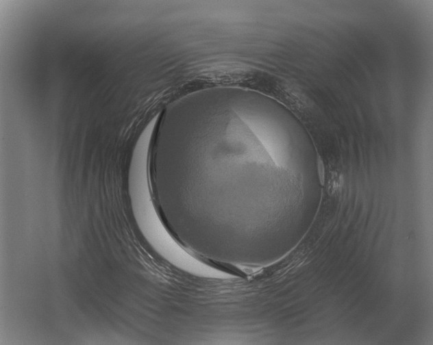 X0000062621108200601040958