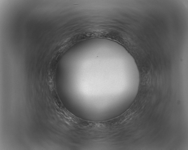 X0000062621109200601040958