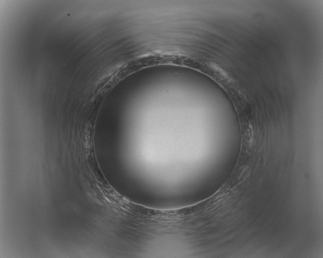 X0000062621110200601040958