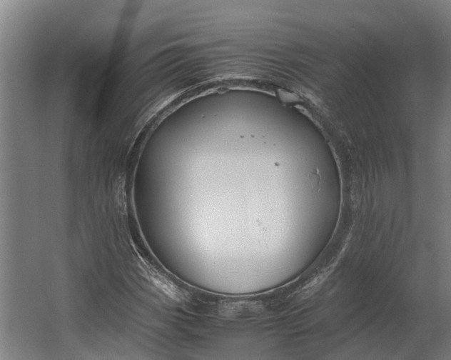 X0000062621113200601040958