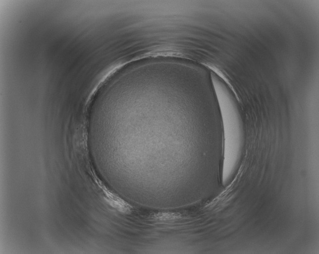 X0000062621115200601040958