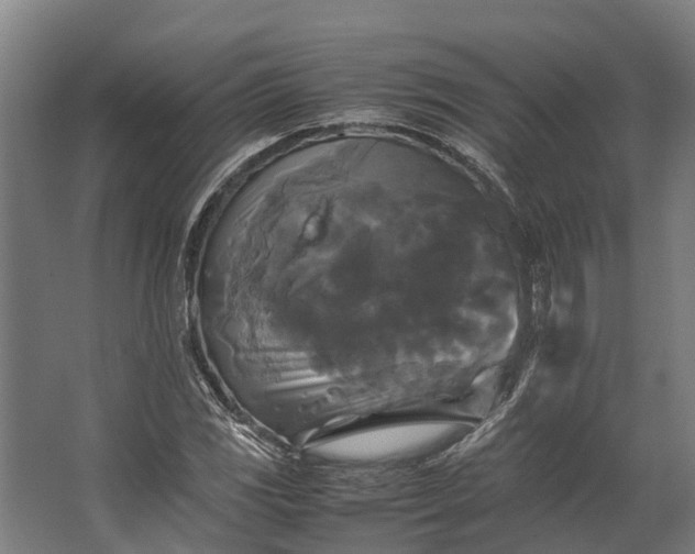 X0000062621117200601040958