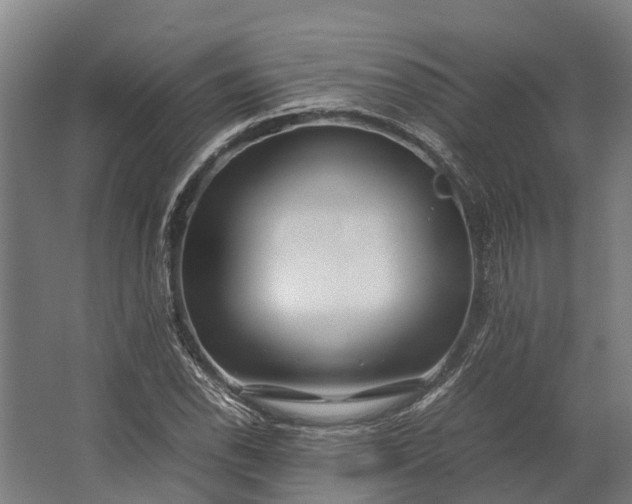 X0000062621118200601040958