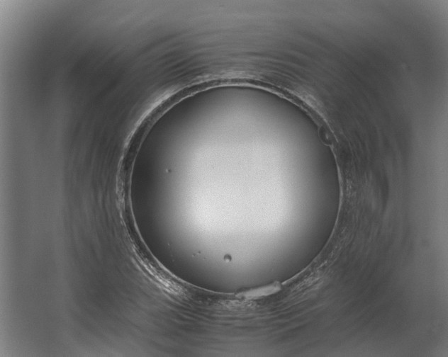 X0000062621119200601040958