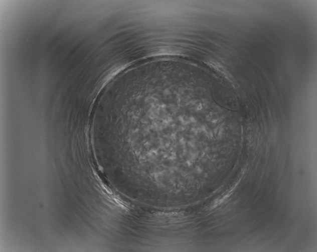 X0000062621121200601040958