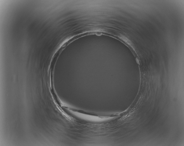 X0000062621127200601040958