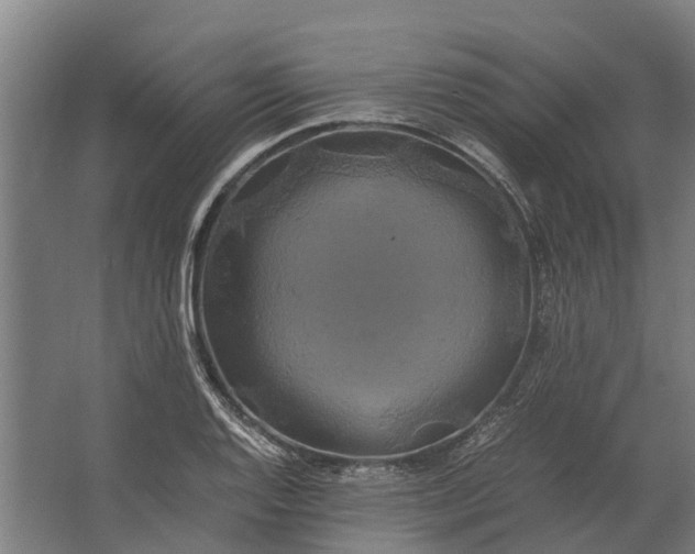 X0000062621128200601040958