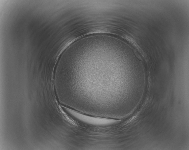 X0000062621129200601040958