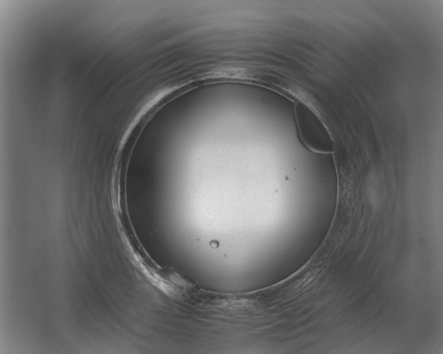 X0000062621131200601040958