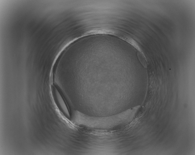 X0000062621132200601040958