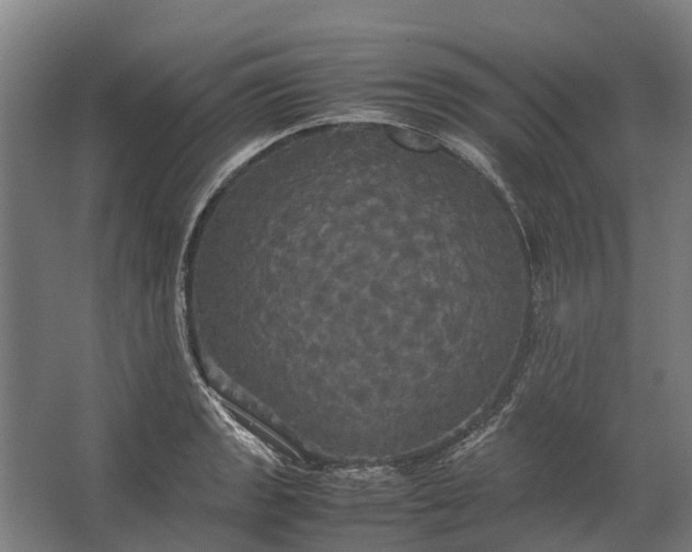 X0000062621133200601040958