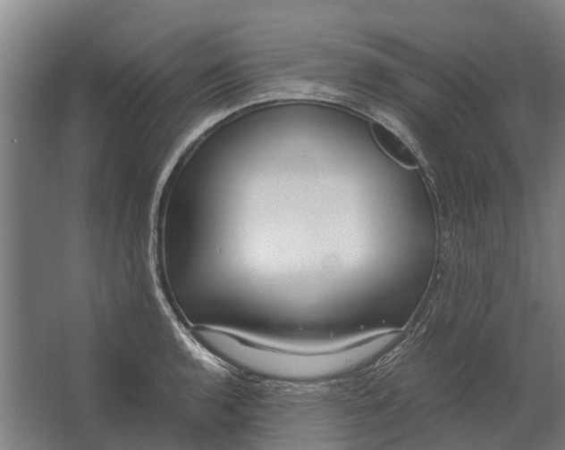 X0000062621136200601040958