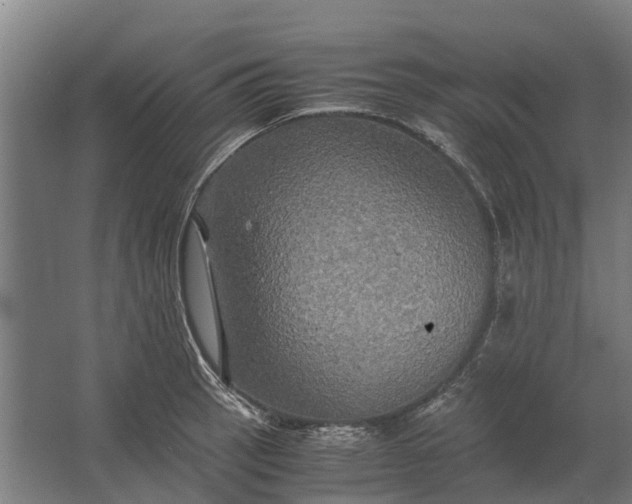 X0000062621137200601040958