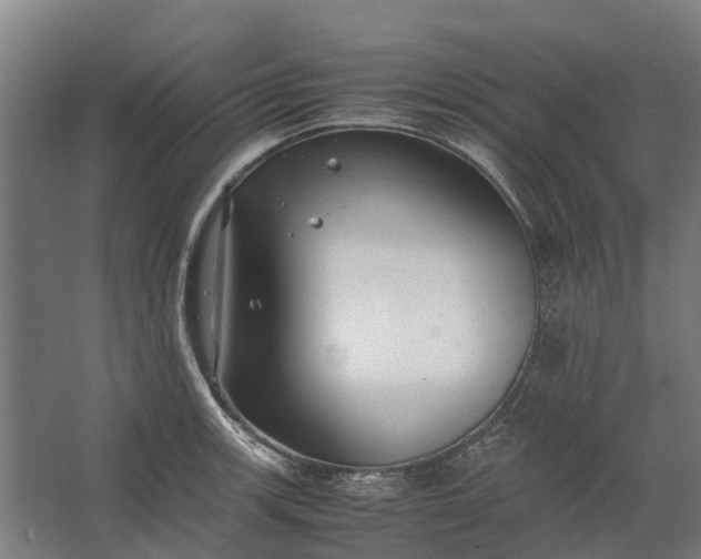 X0000062621139200601040958