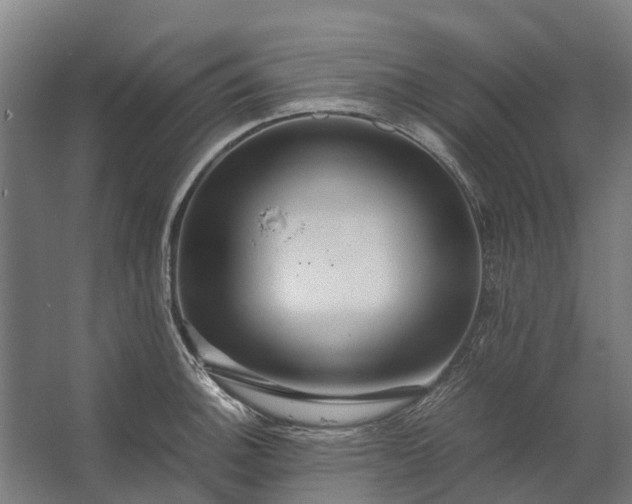 X0000062621140200601040958