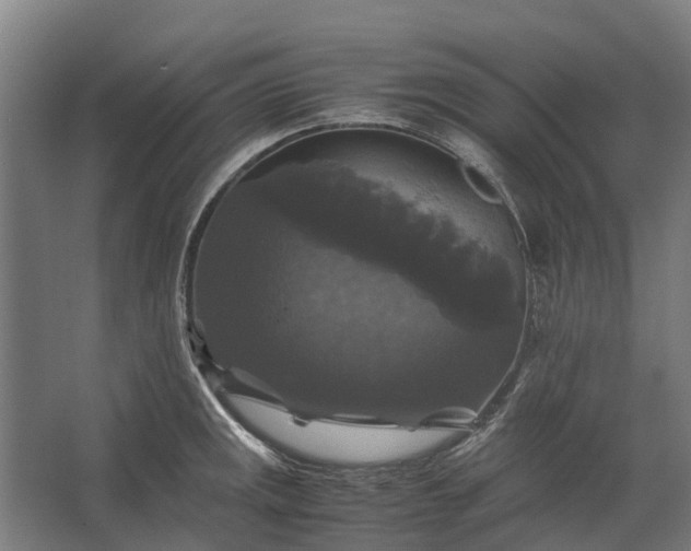 X0000062621141200601040958