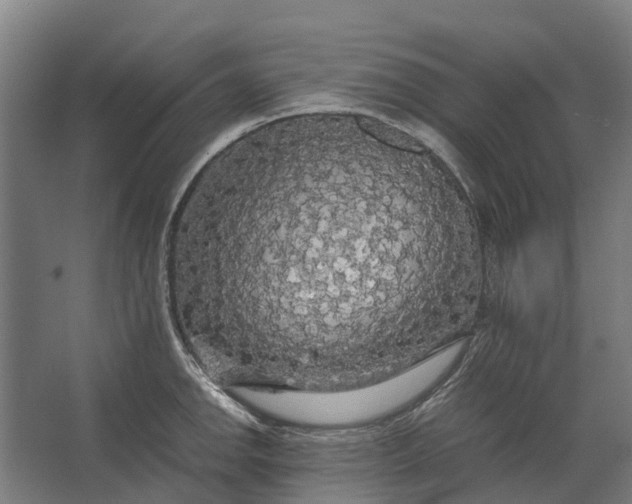 X0000062621142200601040958