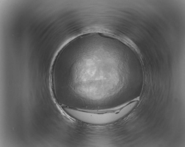 X0000062621144200601040958